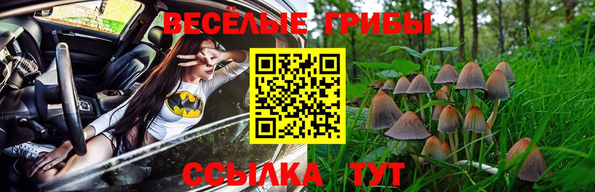 Псилоцибиновые грибы Psilocybe  Вход с VPN  Галлюциногенные грибы Psilocybine cubensis  Горно-Алтайск 