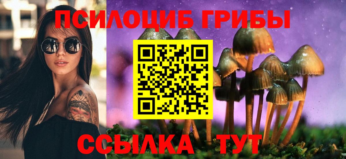 Галлюциногенные грибы мицелий Горно-Алтайск